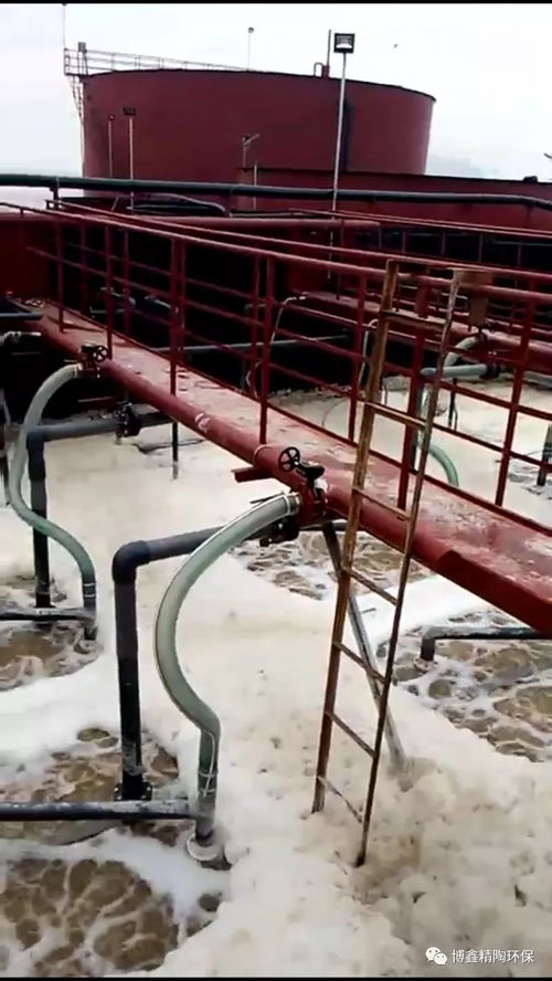 舟山海產品加工廢水處理迎來創新突破 平板陶瓷膜技術成功應用，為海洋環境保護注入新動力